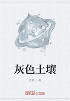 灰色土壤