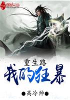 我的狂暴重生路