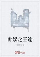 韩娱之王途