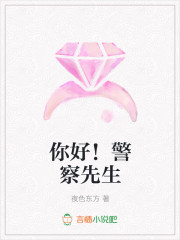你好！警察先生