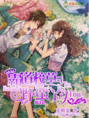 霸道校草与野蛮丫头