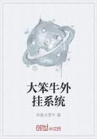 大笨牛外挂系统