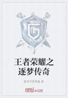 王者荣耀之逐梦传奇