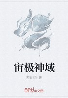 宙极神域