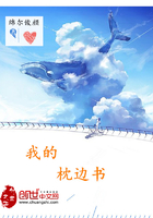 我的枕边书