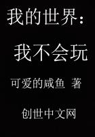 我的世界之我不会玩