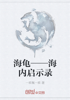 海龟——海内启示录