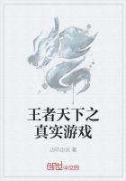 王者天下之真实游戏
