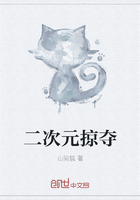 二次元掠夺