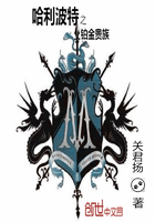 哈利波特之铂金贵族