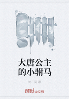 大唐公主的小驸马