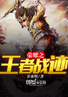 荣耀之王者战迹