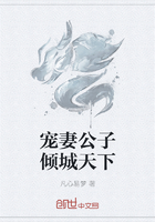 宠妻公子倾城天下