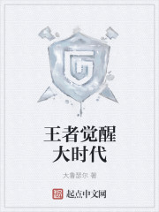 王者觉醒大时代