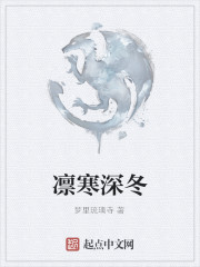 表面圣母