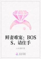 鲜妻难宠：BOSS，请住手