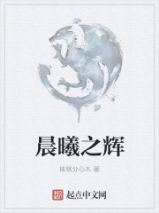 晨曦之辉