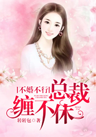 不婚不行，总裁缠不休
