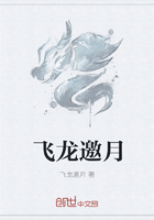 飞龙邀月