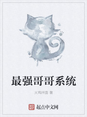 最强哥哥系统