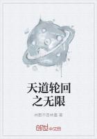 天道轮回之无限