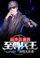 高冷总裁的至尊兵王