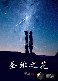圣绯之花—光与暗