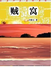 贼窝