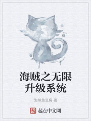 海贼之无限升级系统