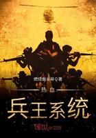 热血兵王系统