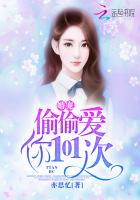 婚宠：偷偷爱你101次