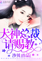 大神总裁，请赐教