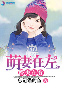 萌妻在左，懵夫在右