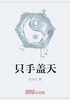 只手盖天