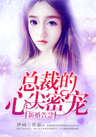新婚告急：总裁的心尖密宠