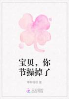 宝贝，你节操掉了