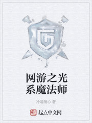 网游之光系魔法师