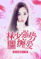 宠宠欲动：林少强势缠爱