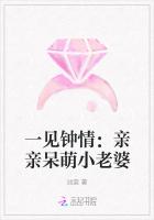 一见钟情：亲亲呆萌小老婆