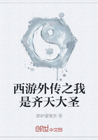 西游外传之我是齐天大圣