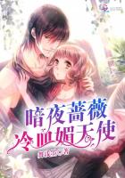暗夜蔷薇：冷血媚天使