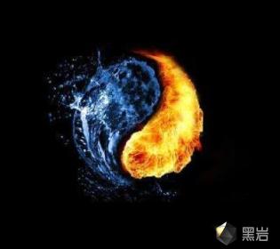 与狼共舞