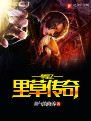 扬阳传说