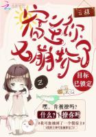 目标已锁定：宿主，你又崩坏了