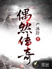 偶然传奇