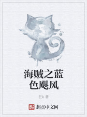 海贼之蓝色飓风