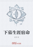 下墓生涯宿命
