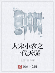 大宋小农之一代天骄