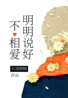 明明说好不相爱