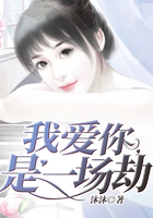我爱你，是一场劫